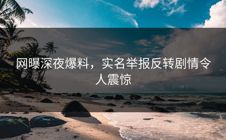 网曝深夜爆料，实名举报反转剧情令人震惊
