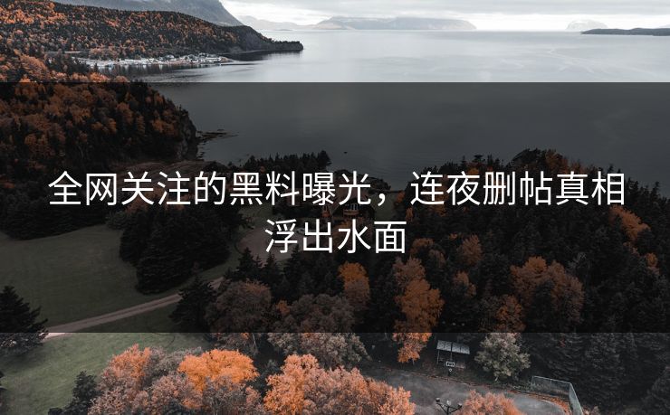 全网关注的黑料曝光，连夜删帖真相浮出水面