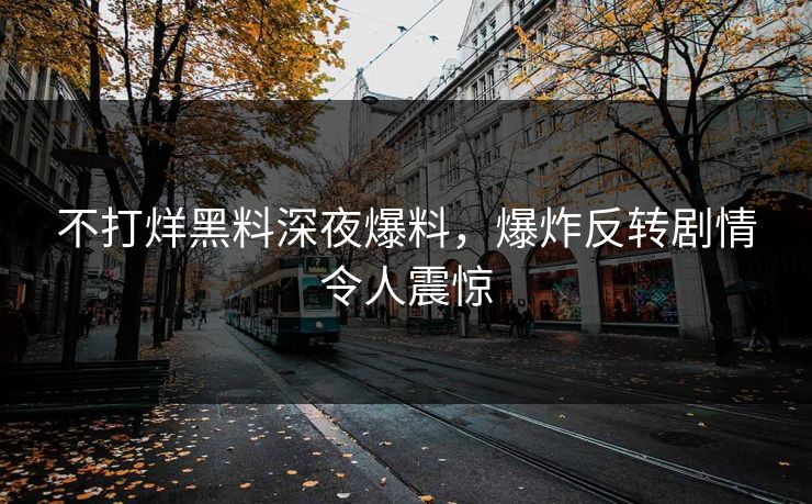 不打烊黑料深夜爆料，爆炸反转剧情令人震惊