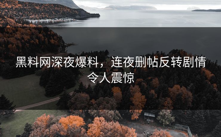 黑料网深夜爆料，连夜删帖反转剧情令人震惊