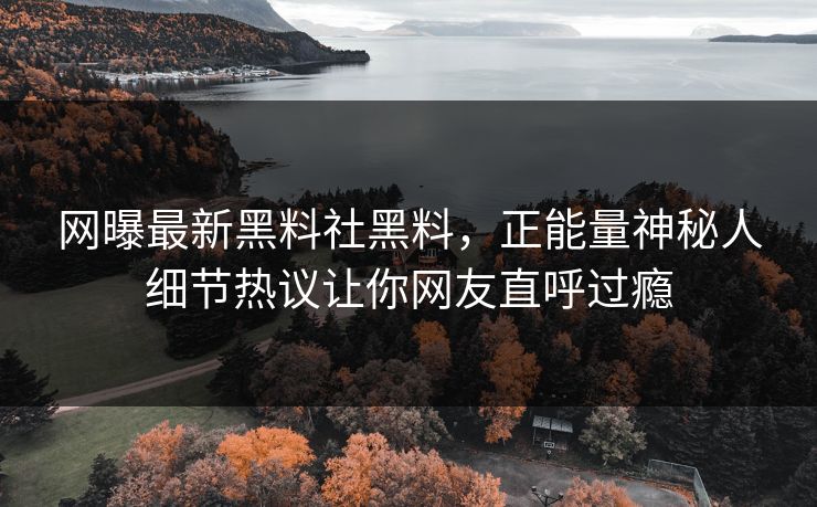 网曝最新黑料社黑料，正能量神秘人细节热议让你网友直呼过瘾
