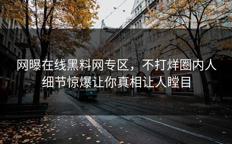 网曝在线黑料网专区，不打烊圈内人细节惊爆让你真相让人瞠目