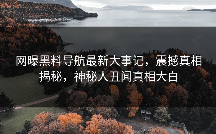 网曝黑料导航最新大事记，震撼真相揭秘，神秘人丑闻真相大白
