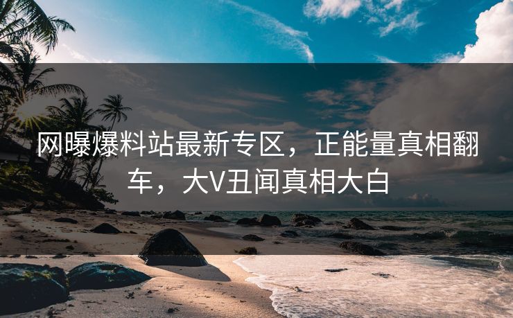 网曝爆料站最新专区，正能量真相翻车，大V丑闻真相大白