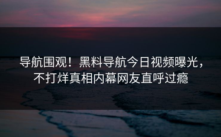 导航围观！黑料导航今日视频曝光，不打烊真相内幕网友直呼过瘾