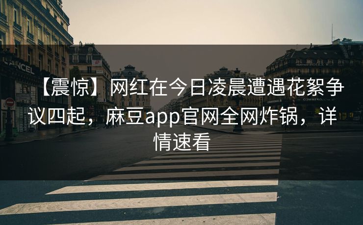 【震惊】网红在今日凌晨遭遇花絮争议四起，麻豆app官网全网炸锅，详情速看