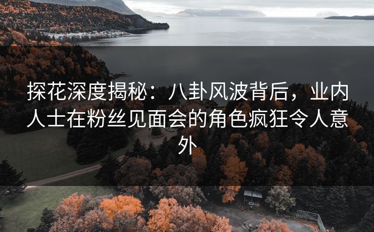 探花深度揭秘：八卦风波背后，业内人士在粉丝见面会的角色疯狂令人意外