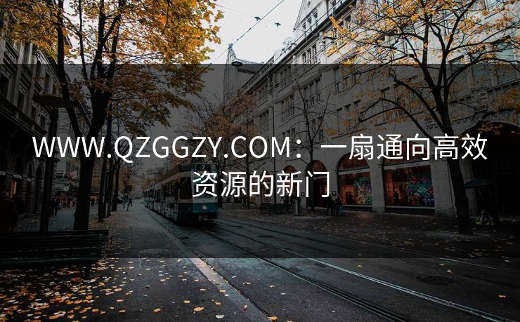 WWW.QZGGZY.COM：一扇通向高效资源的新门