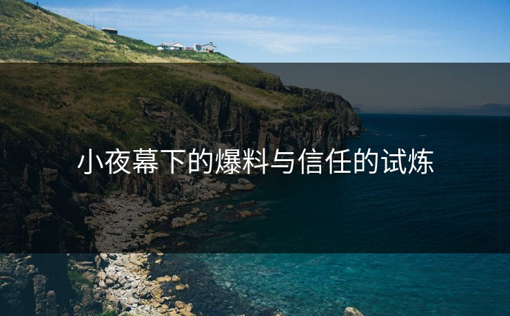 小夜幕下的爆料与信任的试炼