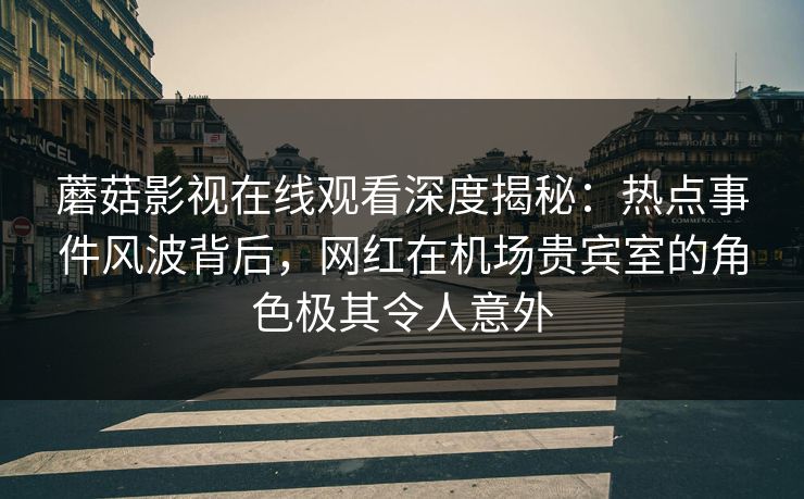蘑菇影视在线观看深度揭秘：热点事件风波背后，网红在机场贵宾室的角色极其令人意外
