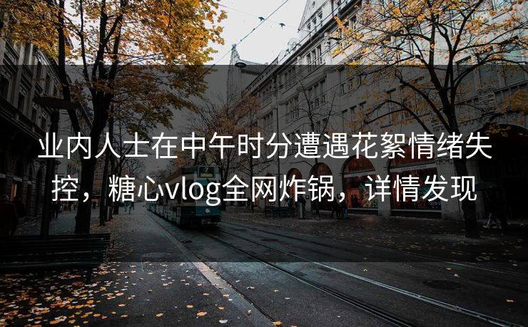 业内人士在中午时分遭遇花絮情绪失控，糖心vlog全网炸锅，详情发现