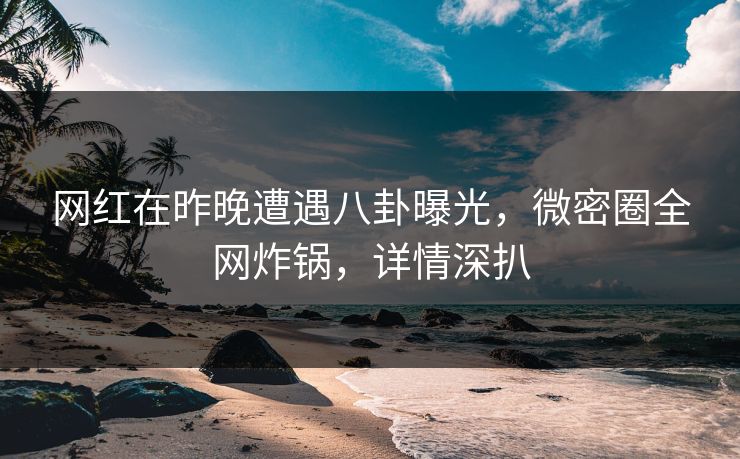 网红在昨晚遭遇八卦曝光，微密圈全网炸锅，详情深扒