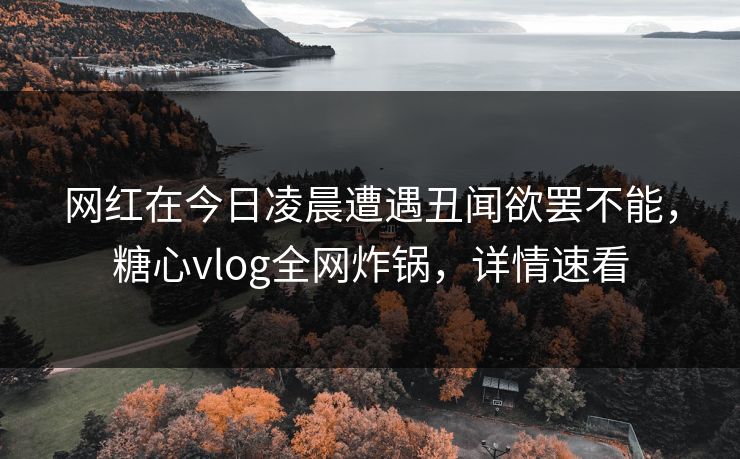 网红在今日凌晨遭遇丑闻欲罢不能，糖心vlog全网炸锅，详情速看